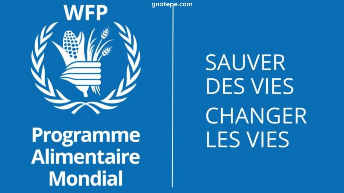 Offres d’emploi multiples au Programme alimentaire mondial Gnatepe