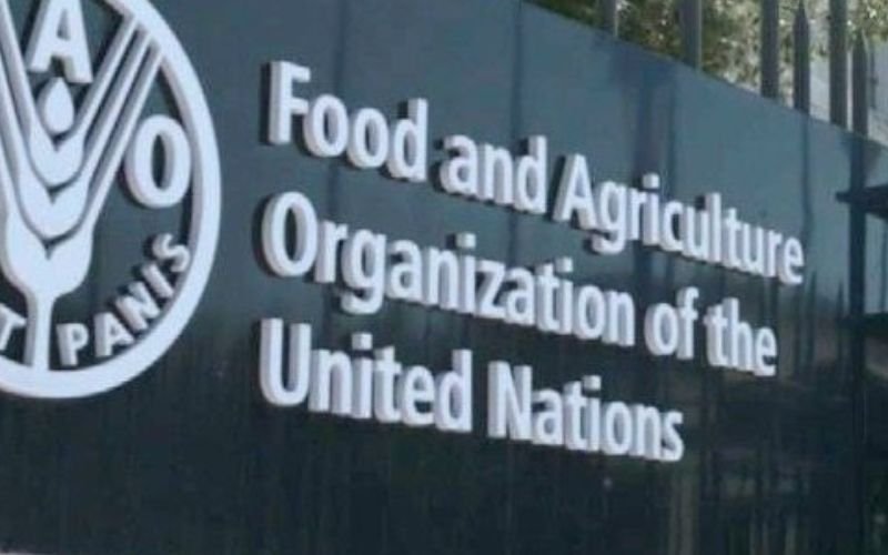 Offre d'emploi : La FAO recrute pour ce poste
